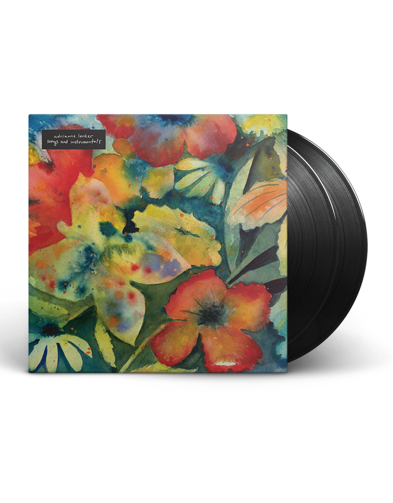 Adrianne Lenker - Songs and Instrumentals