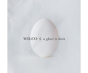 wilco-a-ghost-is-born-deluxe-