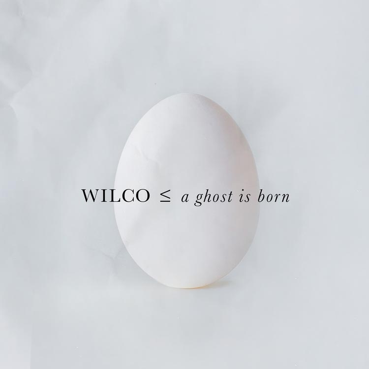 Wilco - A Ghost Is Born (Deluxe Edition) [Vinyl] - Pop Music