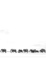 Dave Matthews Band - Where Are You Going: The Singles