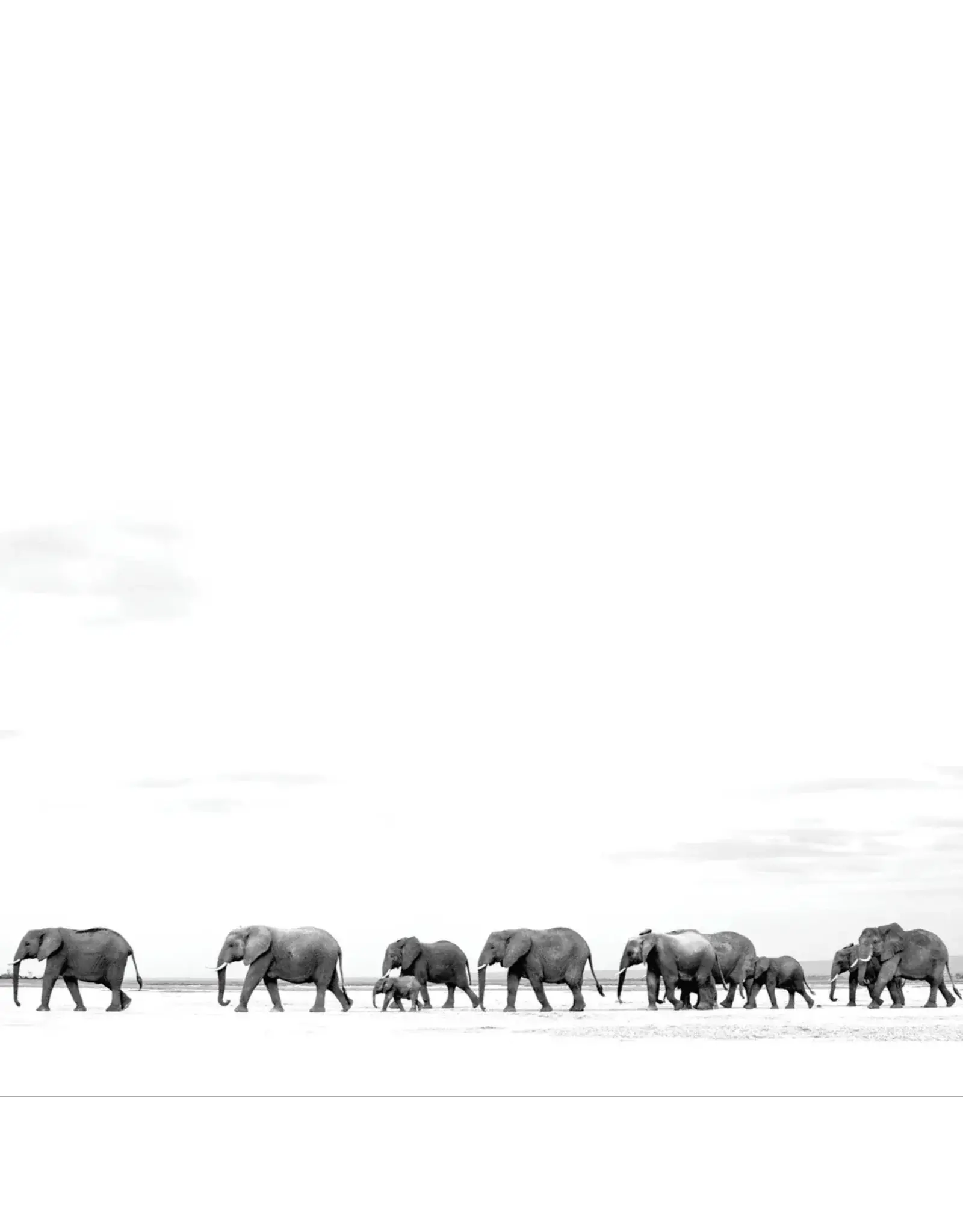 Dave Matthews Band - Where Are You Going: The Singles