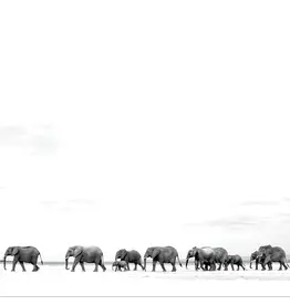 Dave Matthews Band - Where Are You Going: The Singles