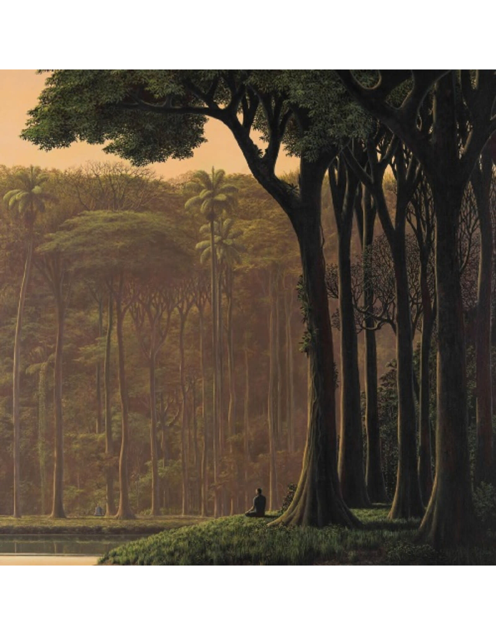 El Búho - Natura Sonora