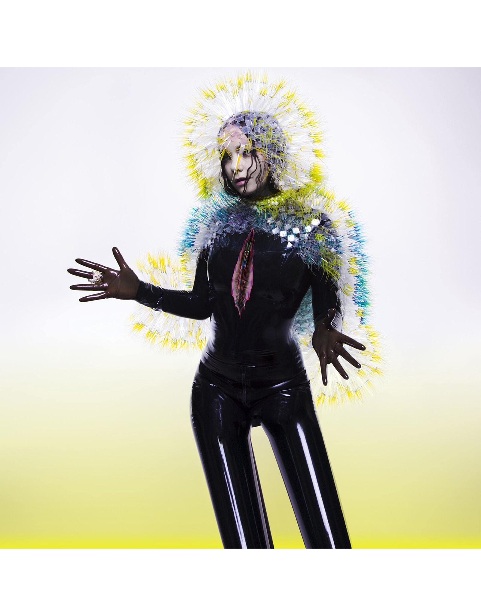 Bjork - Vulnicura