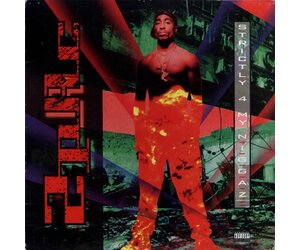 2Pac - Strictly 4 My N.I.G.G.A.Z. (25th Anniversary) [Vinyl] - Pop