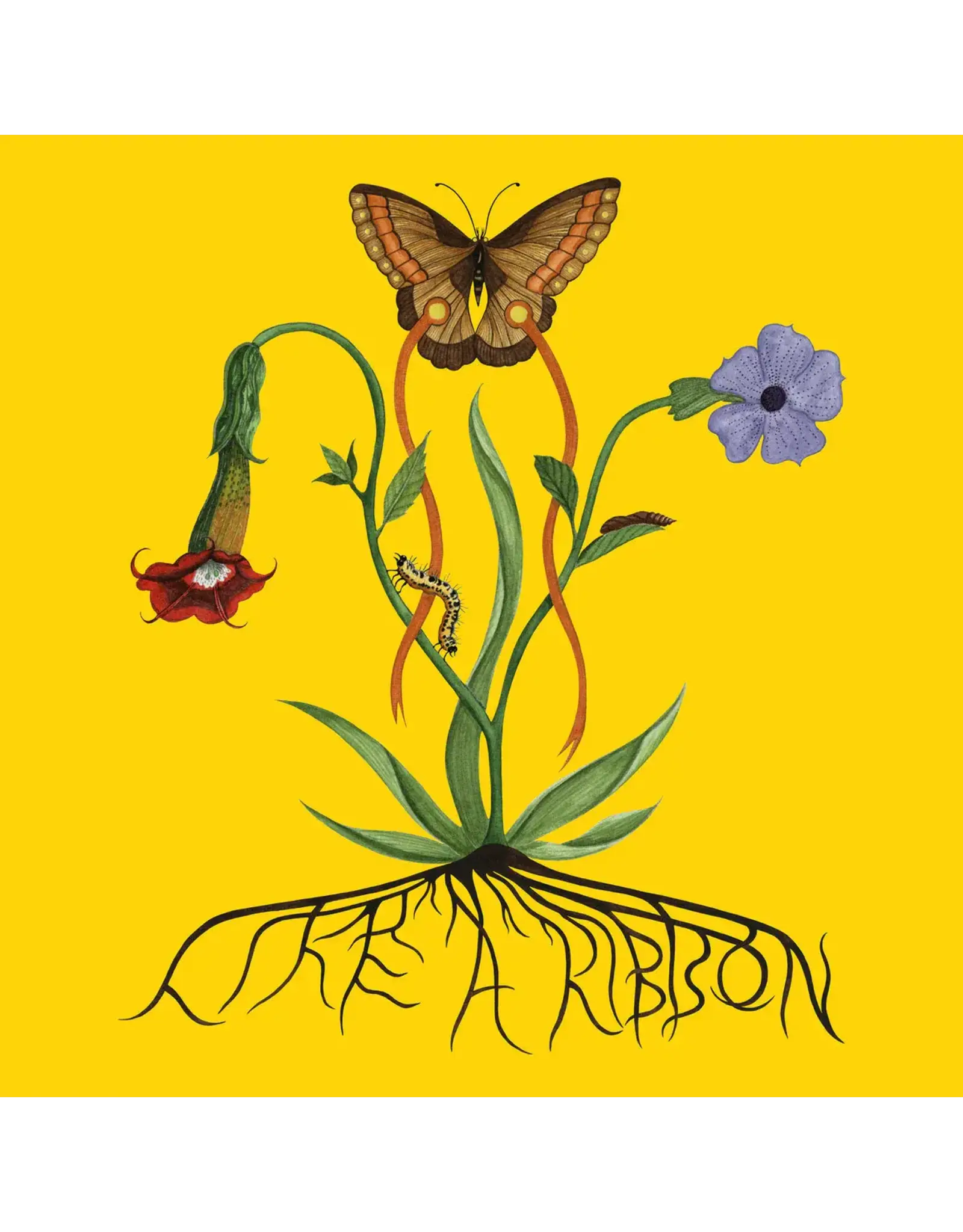 John Glacier – Like A  (Vinyl)