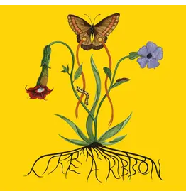 John Glacier – Like A Ribbon