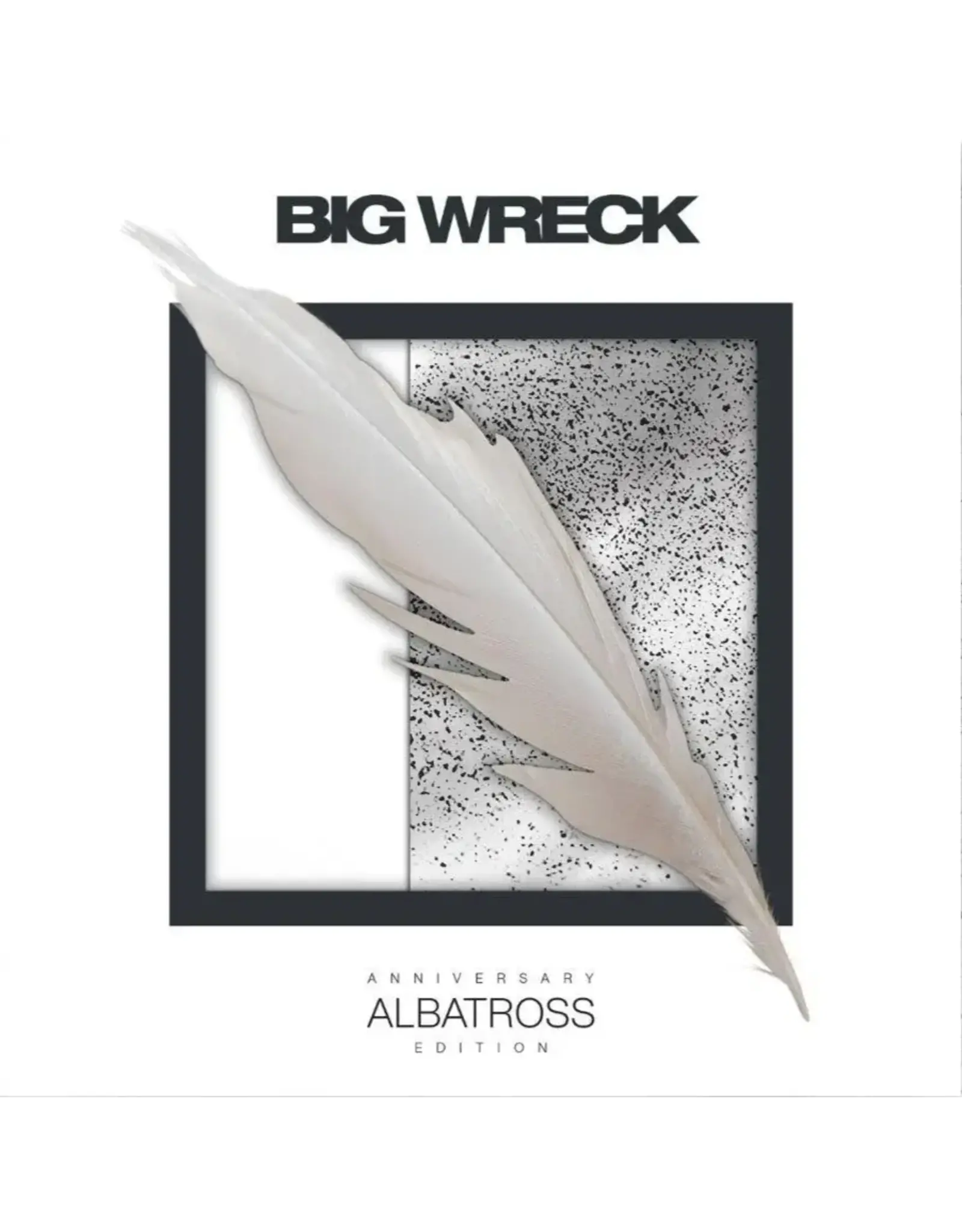 Big Wreck - Albatross: Anniversary Edition (Record Store Day) [Silver Swirl Vinyl]