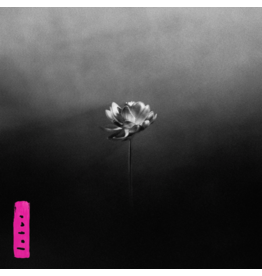 Little Simz - Lotus (Exclusive Pink Splatter Vinyl)