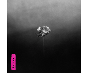 Little Simz - Lotus (Exclusive Pink Splatter Vinyl) - Pop Music