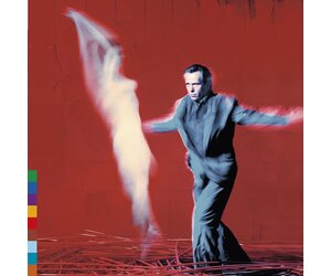 Peter Gabriel - Us (Half Speed Master) [Vinyl] - Pop Music