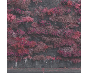 【新品未開封】【レコード】Sleep Token Even In Arcadia Sleep Token - Even In Arcadia (Opaque Black Vinyl) - Pop Music