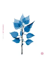 Matt Berninger -  Get Sunk (Exclusive Blue Vinyl)