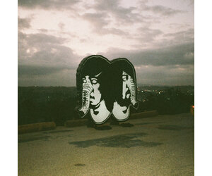 Death From Above 1979 - The Physical World (Marbled Rouge Vinyl