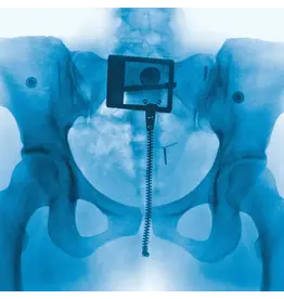 Lorde - Virgin (Exclusive Red Vinyl)