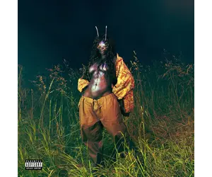 ツ*キ様 SZA LANA SOS DELUXE 4LP SOS Deluxe: LANA 4LP Vinyl – SZA Official Store