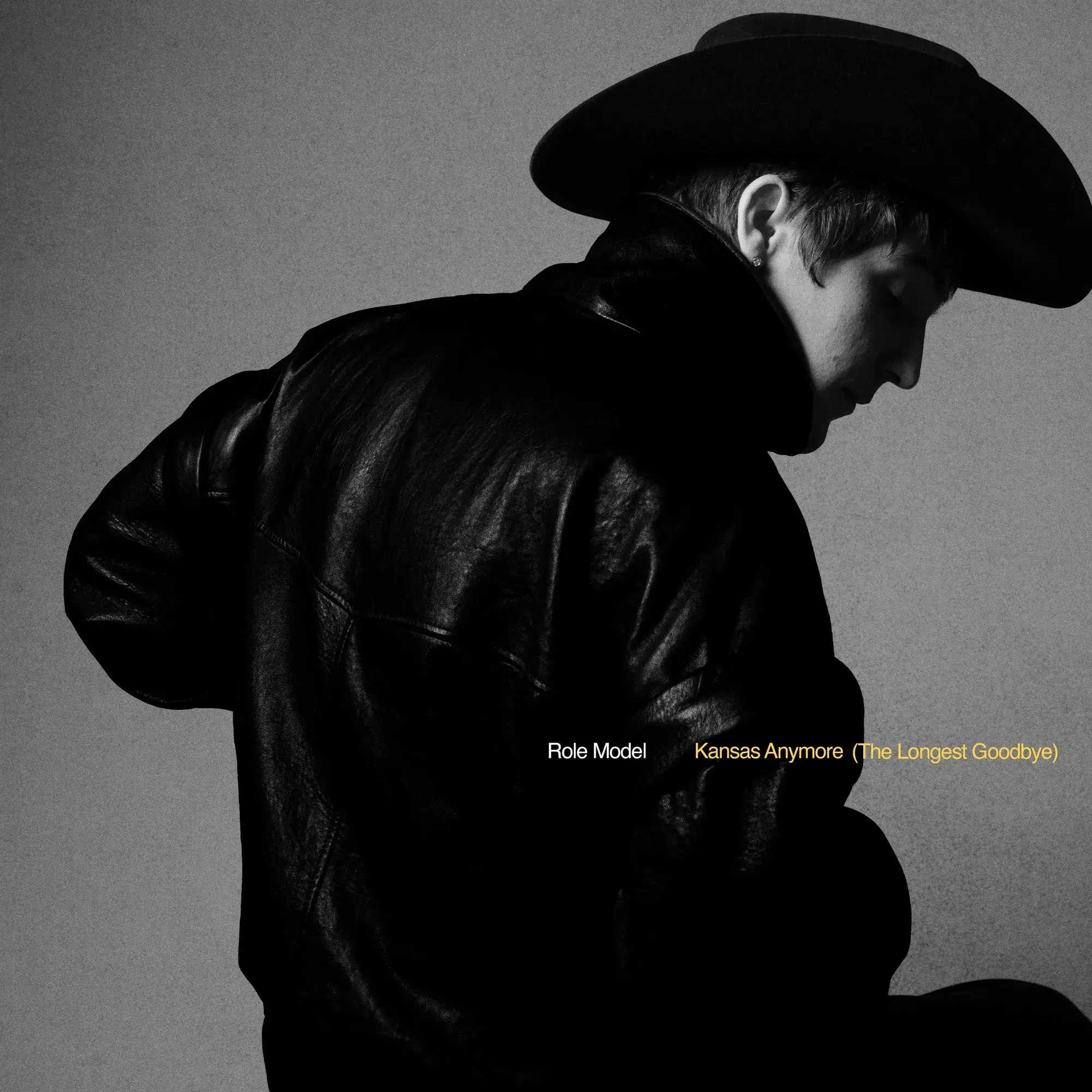 Role Model - Kansas Anymore (The Longest Goodbye) [Yellow Vinyl] - Pop ...