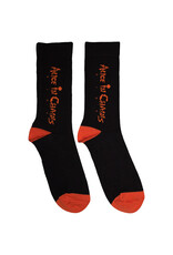 Alice In Chains / Dirt Logo Socks