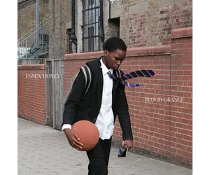 Blood Orange - Essex Honey (Vinyl) - Pop Music