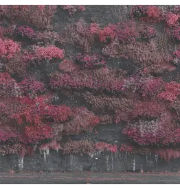 Sleep Token - Even In Arcadia (Exclusive Hint Of Blue Vinyl)