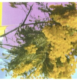 Four Tet - Into Dust (Limited Edition 12" Single)