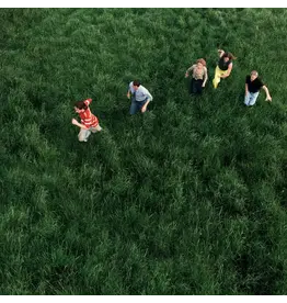 Parcels - Loved (Exclusive Blue Vinyl)