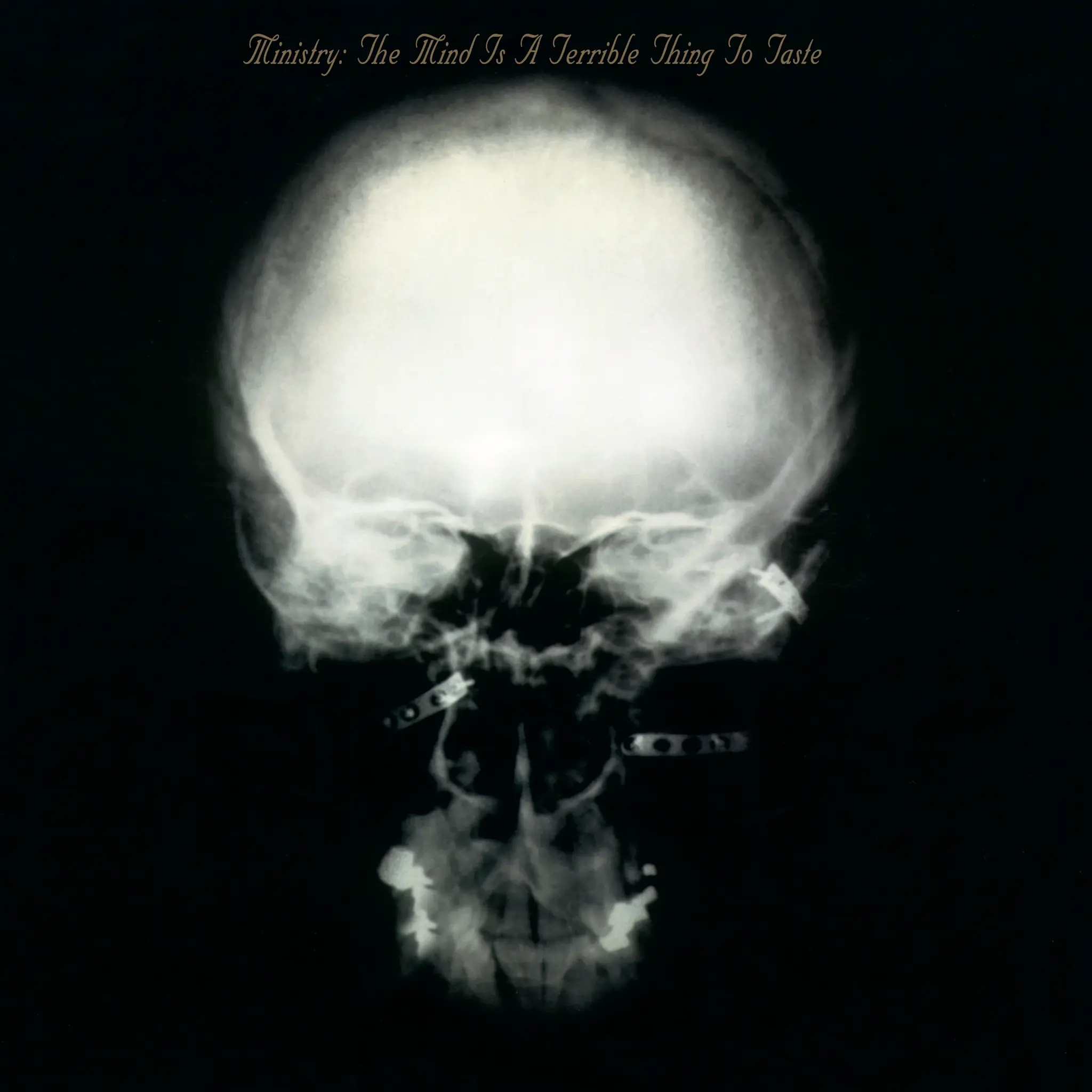 Ministry - The Mind Is a Terrible Thing To Taste (Rocktober