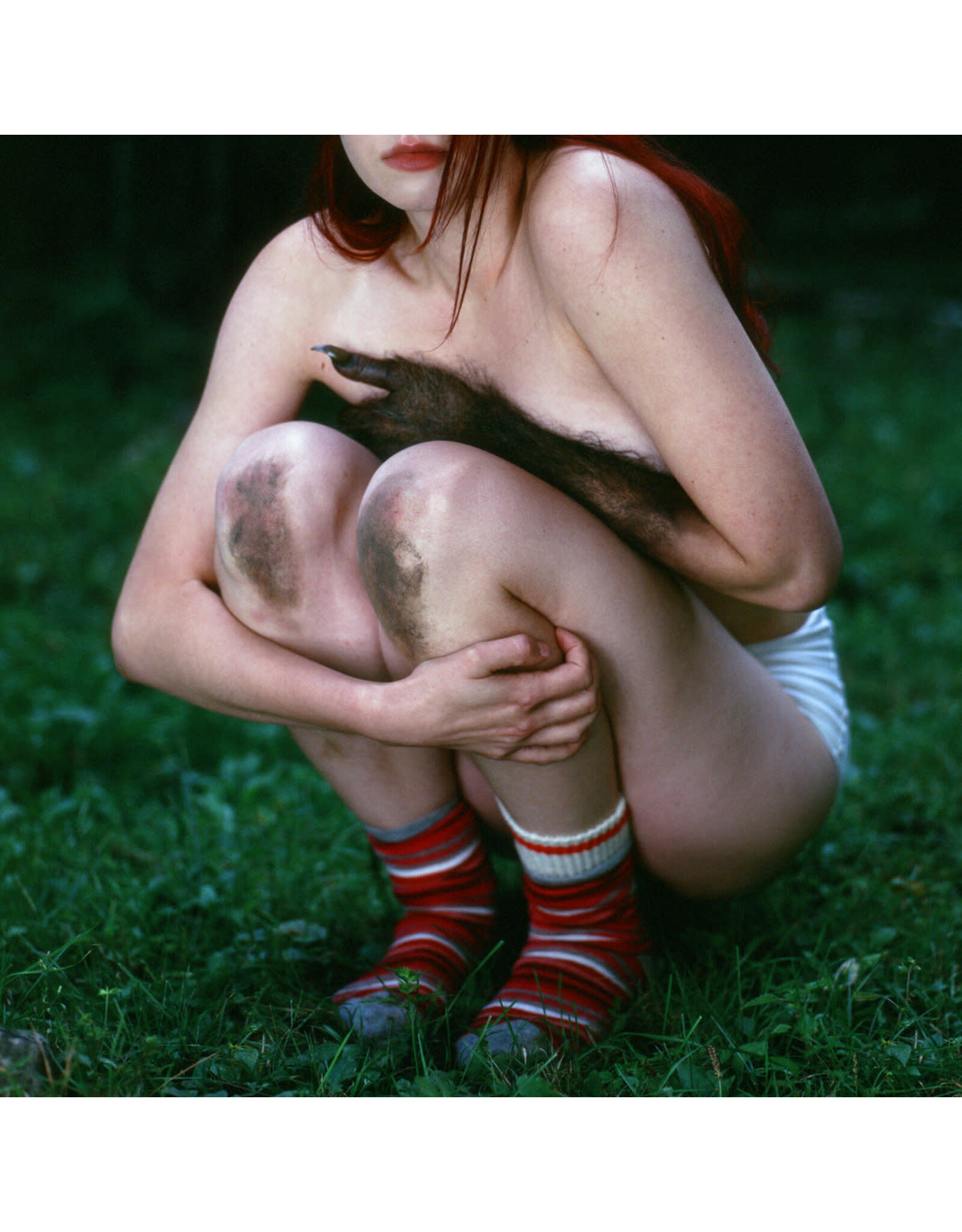 Lou-Adriane Cassidy - Journal D'un Loup-Garou