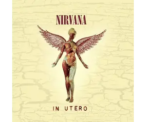 名盤NIRVANA IN UTERO 20周年記念3CD+1DVD国内盤 81o5RZfWzwL._UF1000,1000_QL80_.jpg