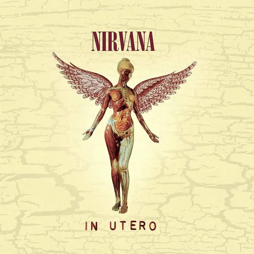 洋楽 NIRVANA IN UTERO ULTRADISC II nirvana-in-utero-20th-