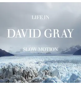 David Gray - Life In Slow Motion (20th Anniversary) [Glacial Blue Vinyl]