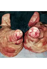 Armand Hammer & The Alchemist - Haram