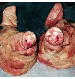 Armand Hammer & The Alchemist - Haram