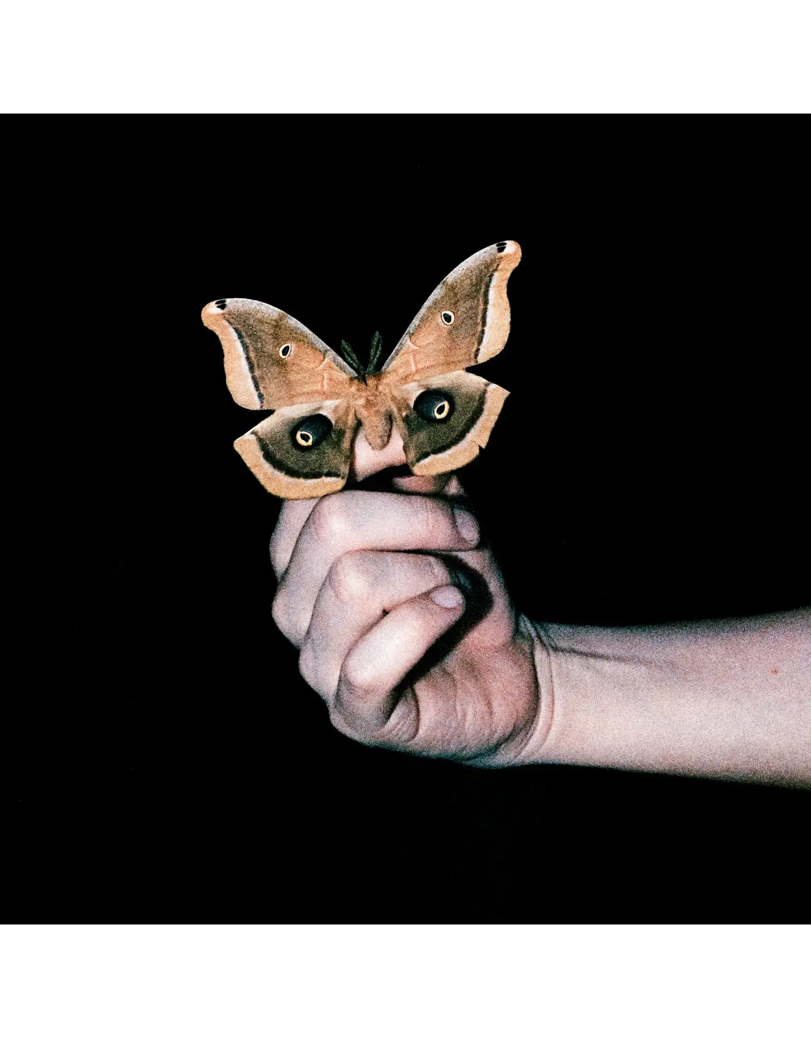 Soulwax - All Systems Are Lying (Exclusive Transparent Vinyl)