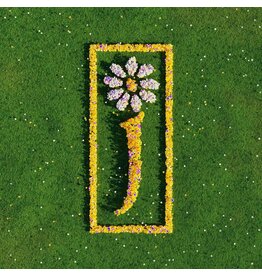 James - Nothing But Love (The Best of James)