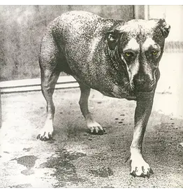 Alice In Chains - Alice In Chains (Highlighter Yellow Vinyl)