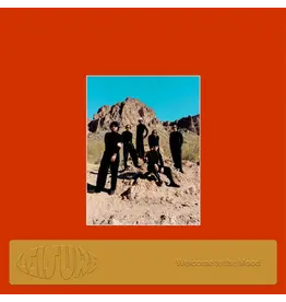 Leisure - Welcome To The Mood (Orange Vinyl)