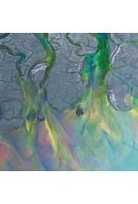 Alt-J - An Awesome Wave (SYEOR 26) [Exclusive Metallic Vinyl]