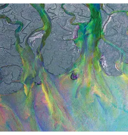 Alt-J - An Awesome Wave (SYEOR 26) [Exclusive Metallic Vinyl]
