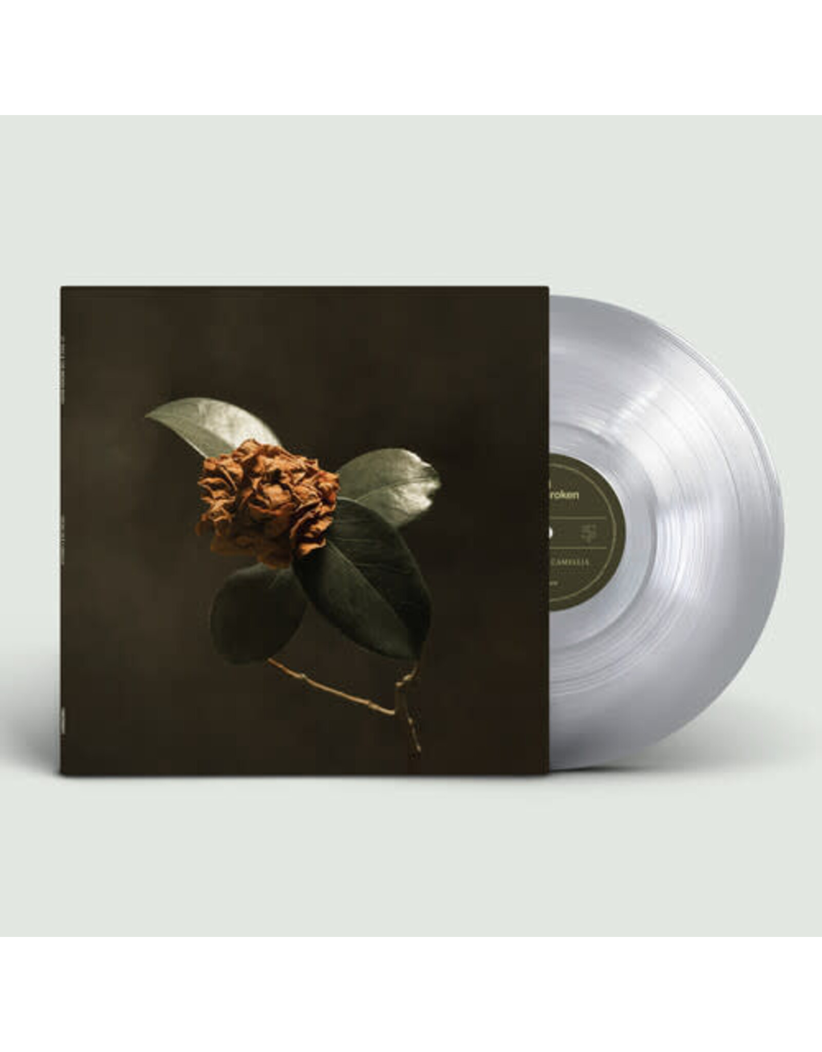 St. Paul and The Broken Bones - Young Sick Camellia (Clear Vinyl)