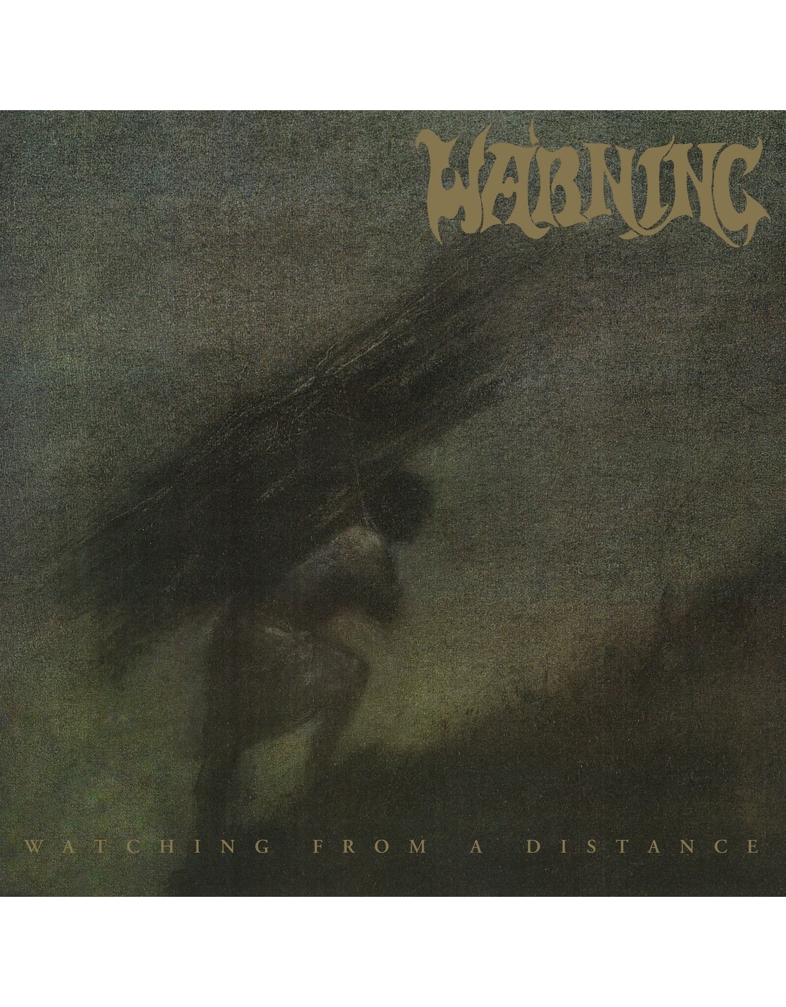 Warning - Watching From A Distance (20th Anniversary) [Labradorite Marble Vinyl]