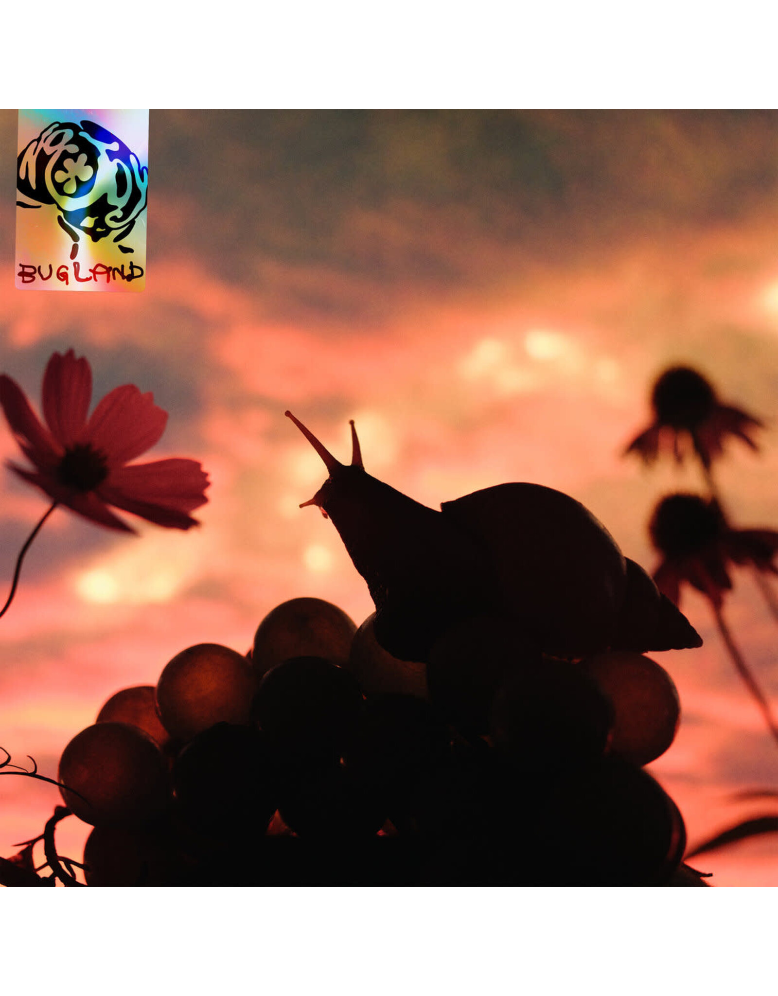 No Joy - Bugland (Ditch Lily Orange Vinyl)