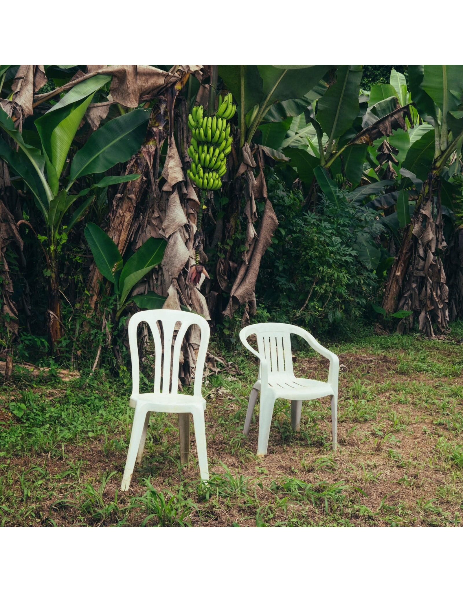 Bad Bunny - Debí Tirar Más Fotos (White Vinyl)