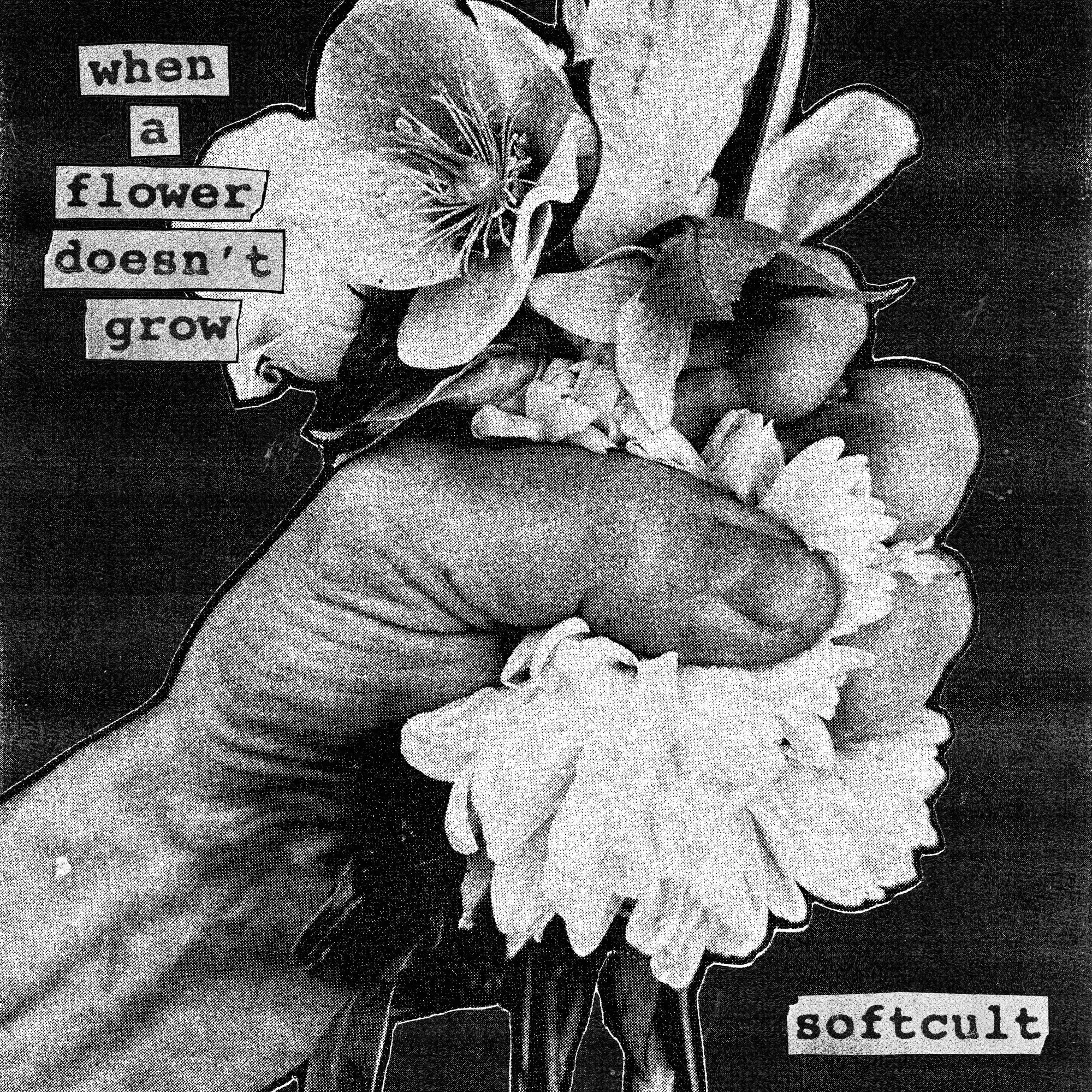 softcult-when-a-flower-doesnt-