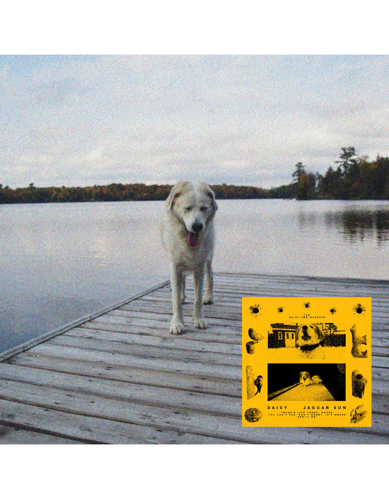 Jaguar Sun - Daisy (Black / Yellow Swirl Vinyl)