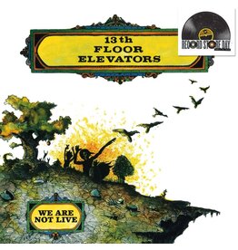 13th Floor Elevators - We Are Not Live (Record Store Day)