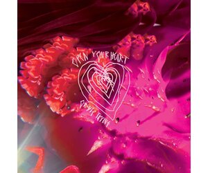 arcade-fire-open-your-heart-or