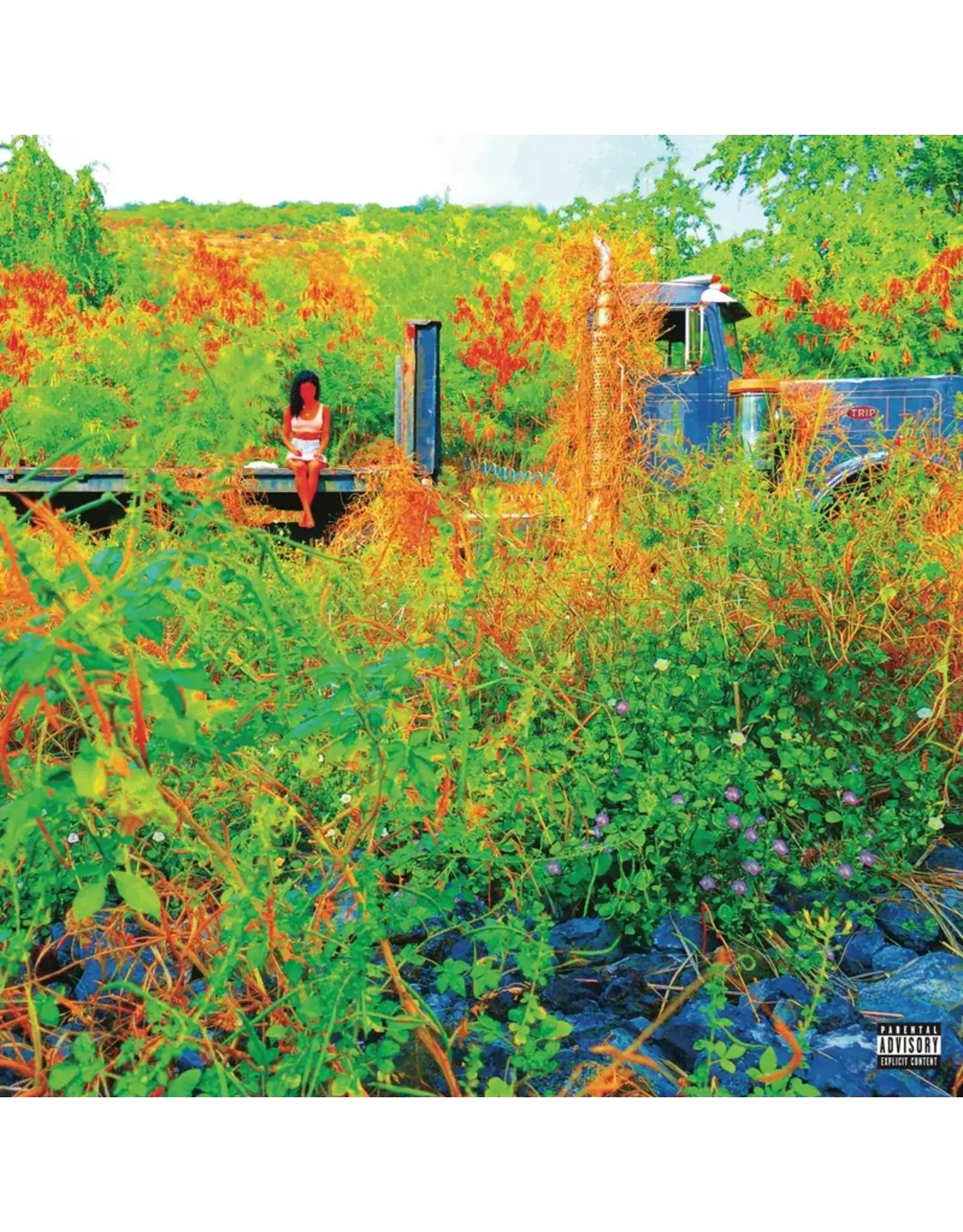 Jhené Aiko - Trip (Record Store Day) [Picture Disc Vinyl]