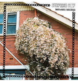 Surprise Chef - Daylight Savings