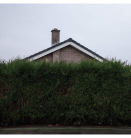 The 1975 - Still... At Their Very Best (Live From The AO Arena 2024) [3LP]